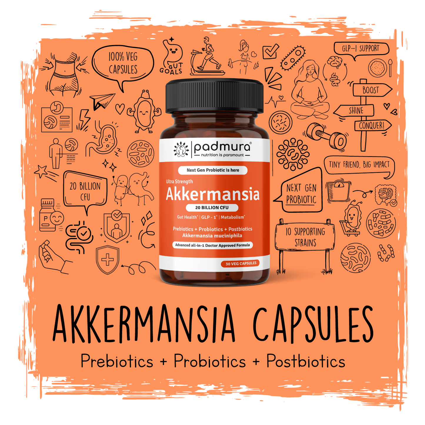 Akkermansia