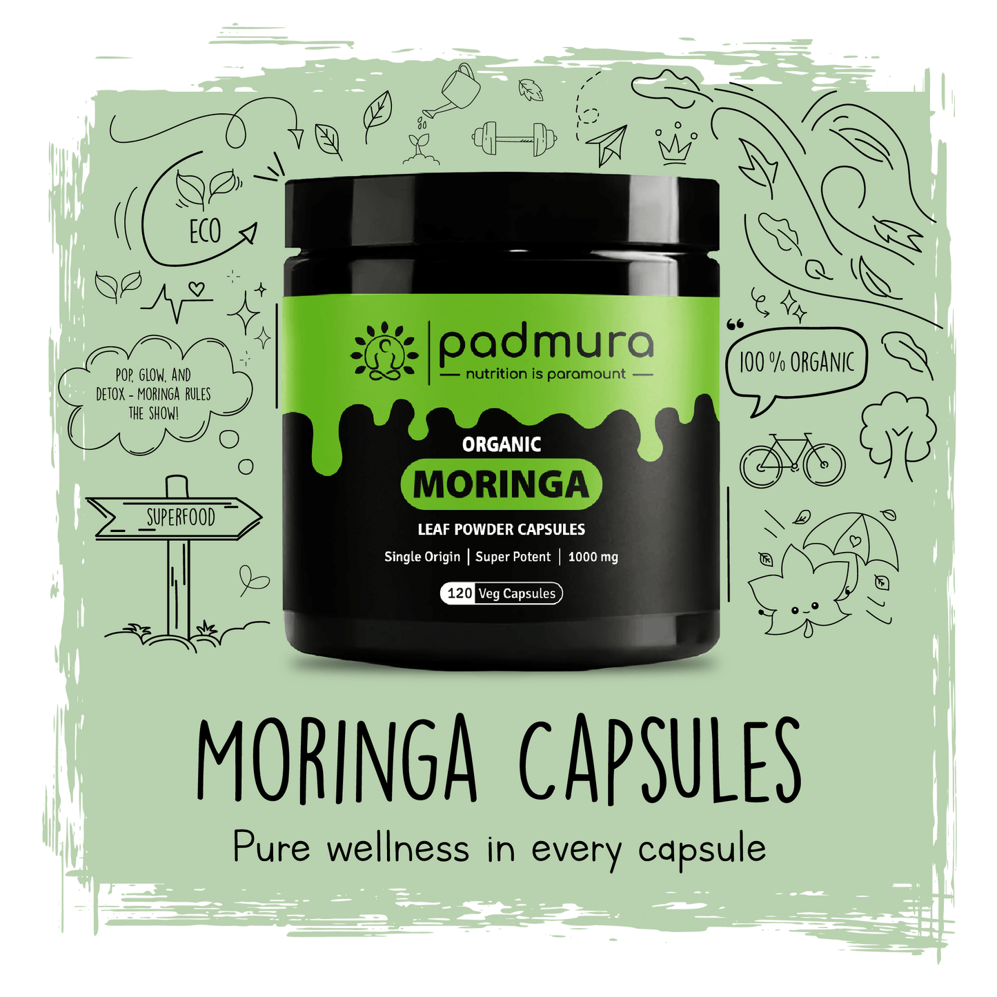 Moringa